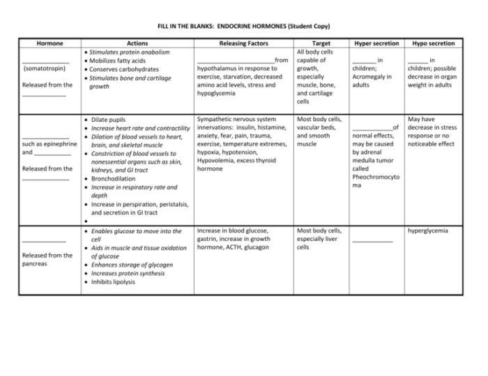 Endocrine system hormones fill in handout