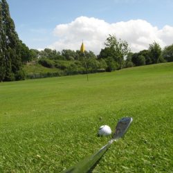 Ball hits flagstick lying on green