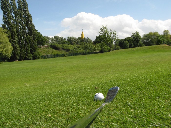 Ball hits flagstick lying on green