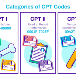 Cpt code for strayer procedure