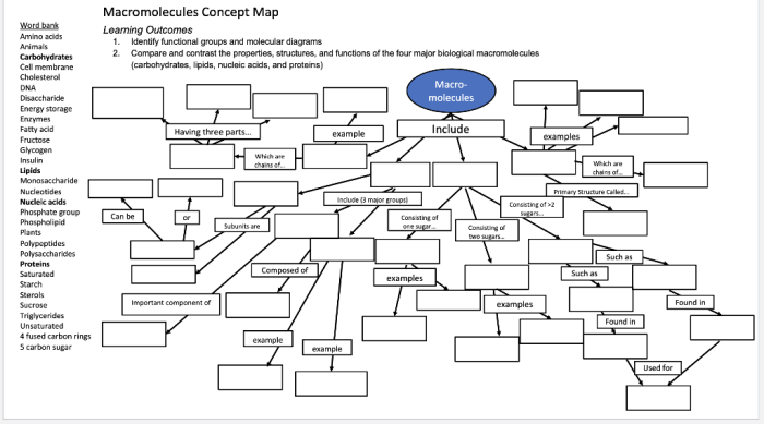 Macromolecules concept map answer key