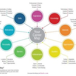 Career exploration section social tests