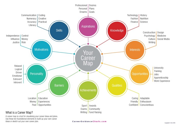 Career exploration section social tests