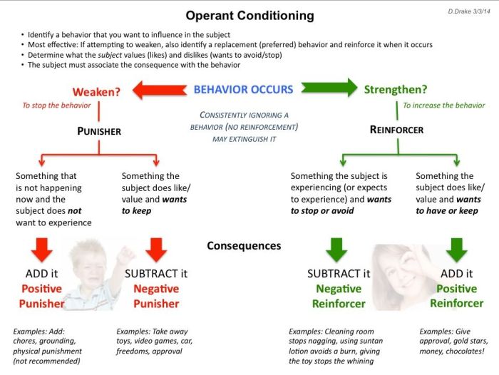 Operant conditioning punishment and schedules of reinforcement worksheet answers