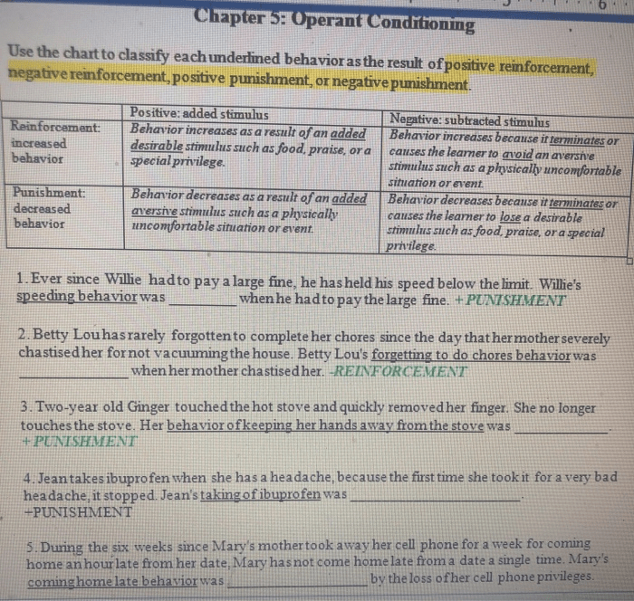 Operant conditioning punishment and schedules of reinforcement worksheet answers