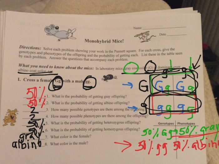 Practice monohybrid crosses worksheet answers