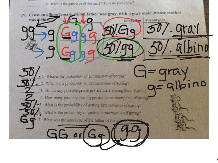 Practice monohybrid crosses worksheet answers