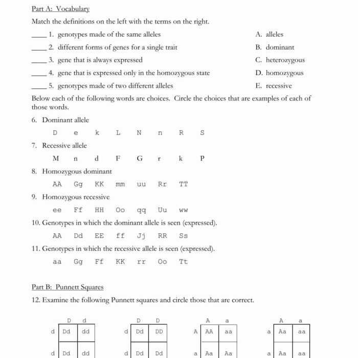 Practice monohybrid crosses worksheet answers